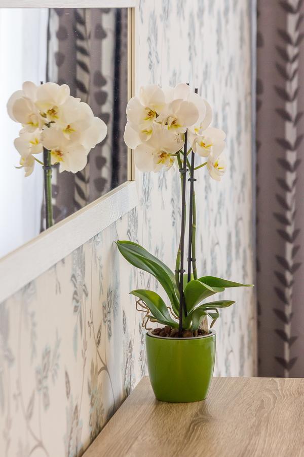 City Apartment Trifoiului Cluj-Napoca Luaran gambar